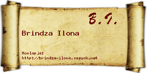 Brindza Ilona névjegykártya