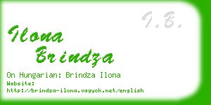 ilona brindza business card